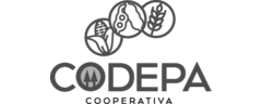 Codepa