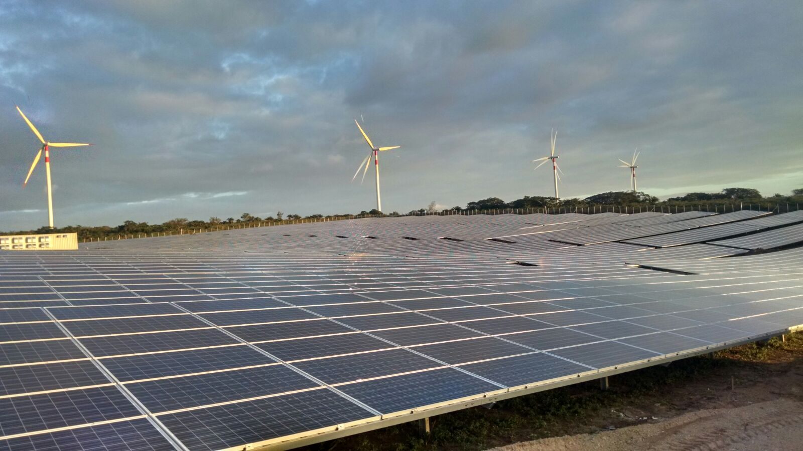 Mesas fotovoltaicas da usina Solar Fontes com aerogeradores ao fundo